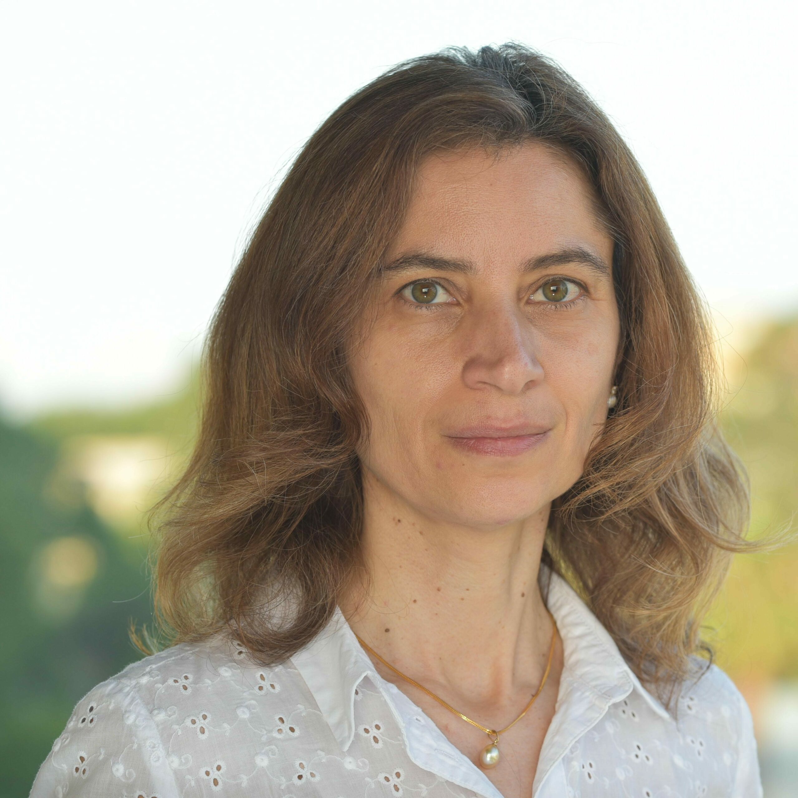 Ana Camanho, Universidade do Porto